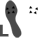 R足